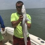 Galveston Fishing Guide for sharks